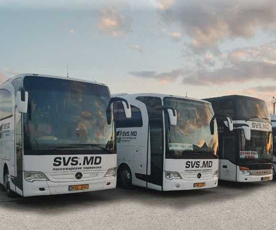 Svs.md (Brno) hero image